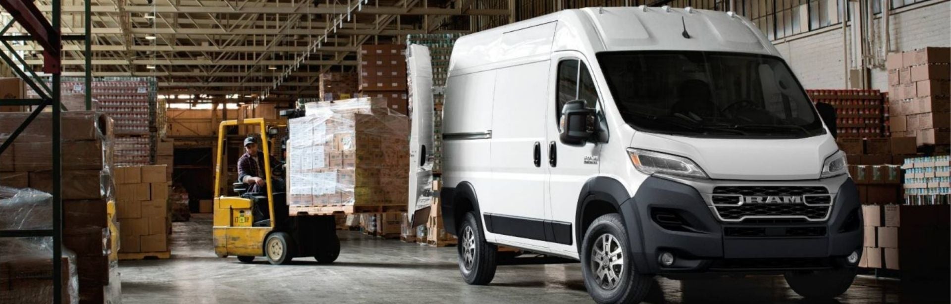 RAM_Promaster.